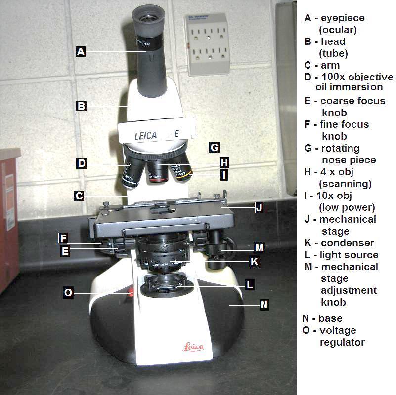 Figure 1 reviews the microscope parts. Figure 1a Figure 1b B. Microscope usage.