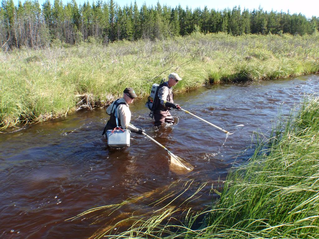 Alberta Conservation Association staff members Paul Hvenegaard and Dave Jackson electrofishing a
