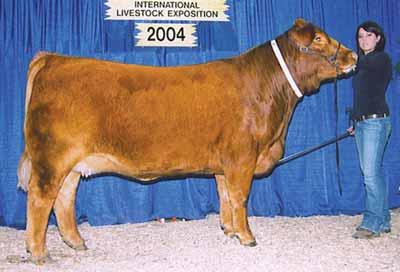 Selling five embryos. 5 EMBRYOS lot 63 72.