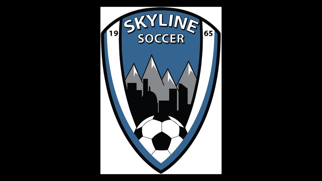 Skyline Winter Futsal Classic Rules and Procedures All Coaches and Referees Please Read Carefully Tournament Director - Matthew Hays Skyline Office: 2130 S Bellaire St.