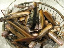 Razor Clam (Ensis directus) Infaunal bivalve Lives in low intertidal to subtidal Another