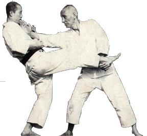 Ohtsuka Sensei was already an accomplished master of Shindo Yoshin Ryu jujitsu when Master Gichin Funakoshi introduced karate in Tokyo, Japan. Master Ohtsuka became interested in karate in 1922.