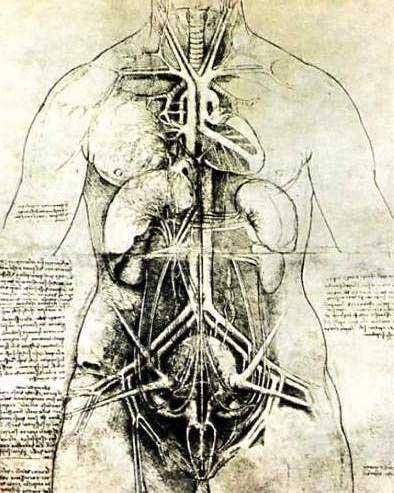 His goal was to study the birth, life, and death of man in his Treatise on Anatomy, started in 1489.