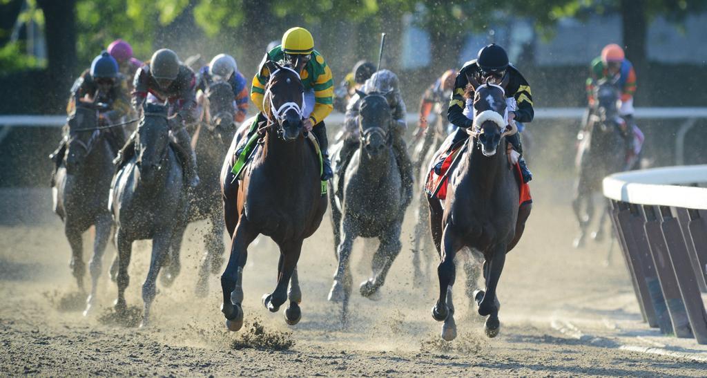 BELMONT STAKES WAGERING GUIDE DAILY LATE-BREAKING ONLINE UPDATES BEGIN JUNE 3 Palace