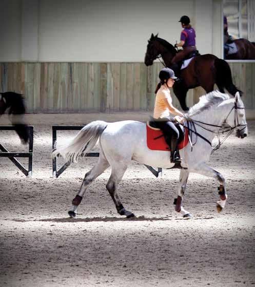 It is known to be the best for equestrians to start at early ages, therefore Pony Club and young riders are considered highly important.