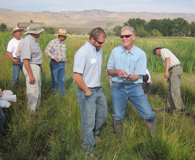 Ranchers create ponds, wetlands in Owyhee County in partnership with U.S. Fish and Wildlife Service By Steve Stuebner In the arid West, water is key to the survival of everything.