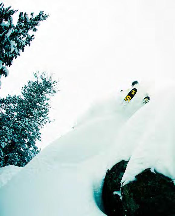 RIDER: DANIEL TISI / JACKSON HOLE PHOTO: DAN BROWN S I C K FREE DAY RIDE THE BENCHMARK WHICH ALL OTHER DIRECTIONAL
