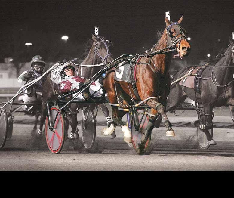 How to become a licensed harness driver by Becca Marrie License TO Horsemen are known for working long days, but you would be hard pressed to find a busier person than 19-year-old catch-driver Joe