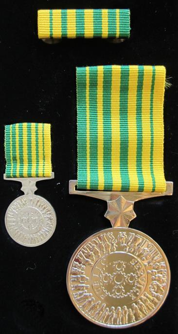 AUSTRALIAN OCCUPATIONAL RELATED HONOURS Public Service Medal (PSM) Awarded to recognize outstanding service of members of the government public service and other government employees including those