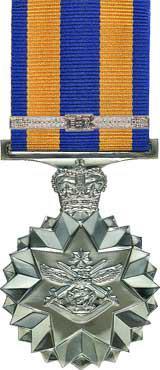 Australian Defence Force Service Medal (DFSM) 15 Years (12 of which must have been in the Regular Force).