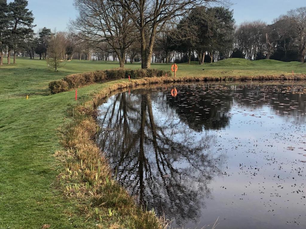 Gorse around the courses have had much attention this winter. The main areas of work included, 16 th pond and 10 th on High Course.