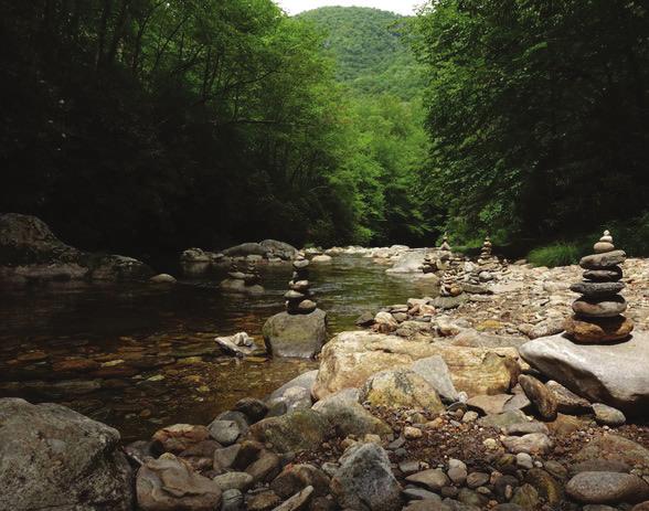 A stream in Pisgah Forest with rock piles. Photo: Corrie Woods So we donated the sculpture to the zoo and fast forward 9 months later, the new exhibit is open to the public.