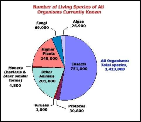 2. Number of Species Biological Diversity Most scientists believe the larger the variety of species living on the planet, the healthier the planet is.