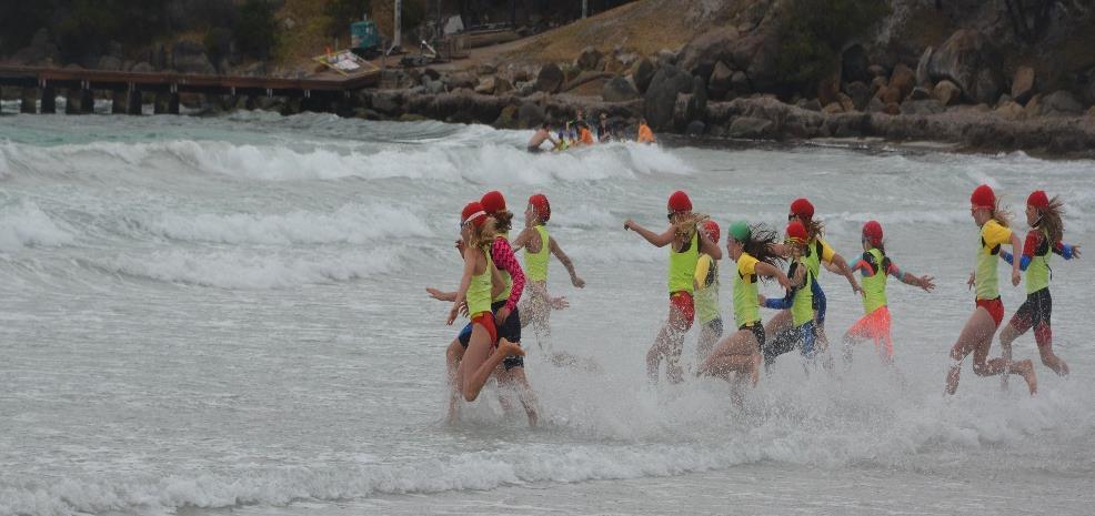 Nippers Report G'Day All! What a great show last Sunday despite the conditions.