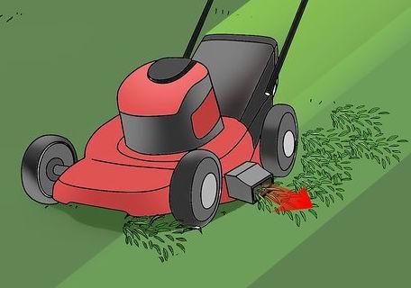 clippings away from unmowed grass as you mow.