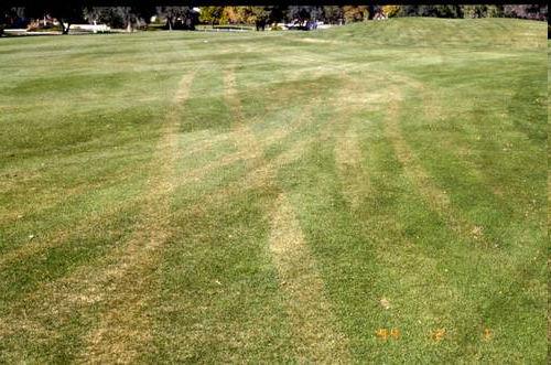 Tracking damage caused by mowing while the turf