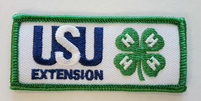 ATTIRE 1. A 4-H patch with the 4-H emblem must be worn on the upper left sleeve. Patches must be visible during the event.