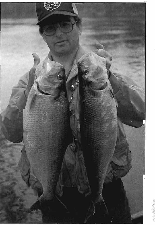 Such was the spring of '93 for much of the early shad season on the lower Delaware River.
