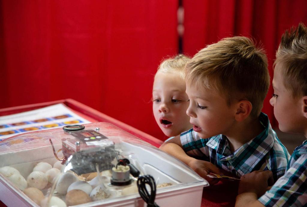 EDUCATION The Utah State Fair has plans to dramatically increase and improve the development of educational exhibits, outreach programs, and other agricultural educational opportunities for children