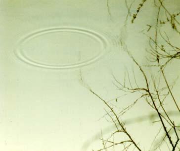 circular set of ripples,