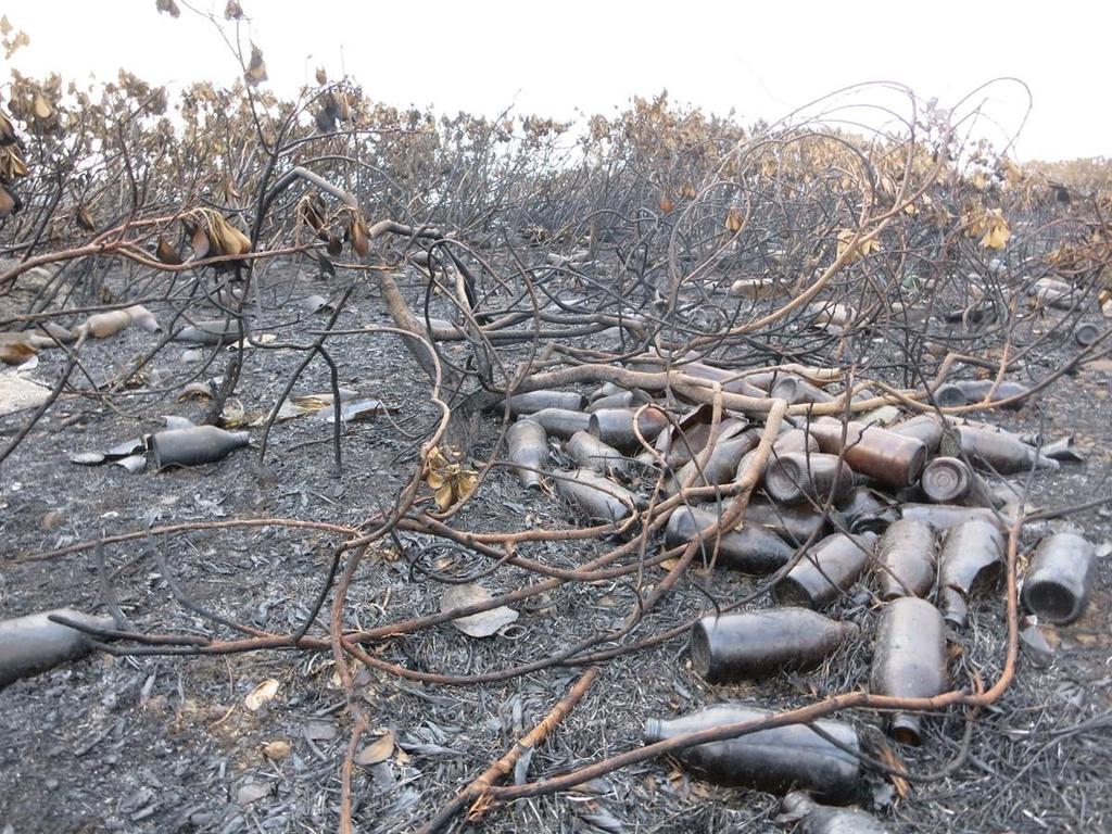 Headland south of Jetty The Jetty Community representatives have had discussions with LakeCoal regarding the immediate problem of managing the burnt sections (steel and timber) of