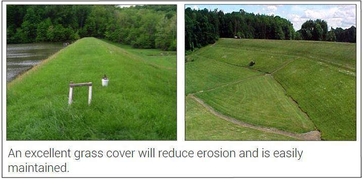 maintained vegetation can help prevent erosion of embankment and earth channel surfaces, and aid in the control of groundhogs and muskrats.
