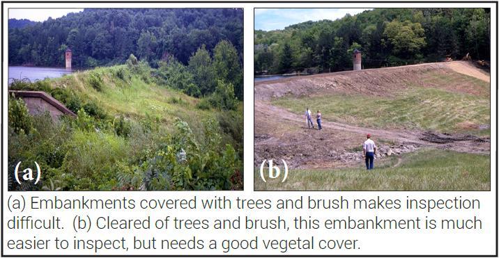 Trees and Brush Trees and brush must not be permitted on embankment surfaces or in vegetated earth spillways. Extensive root systems can provide seepage paths for water.