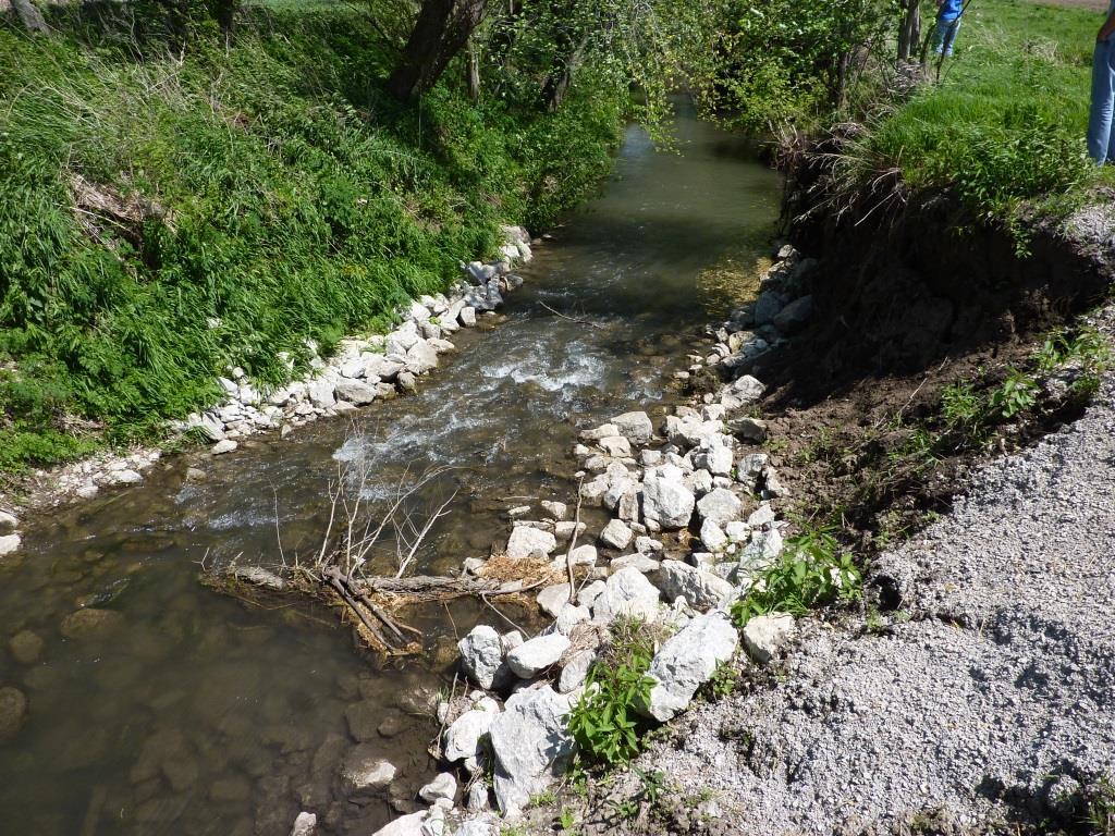 Successful instream habitat projects in the area Farmers Branch (Sangamon River basin) 14 riffles Results 69% increase in