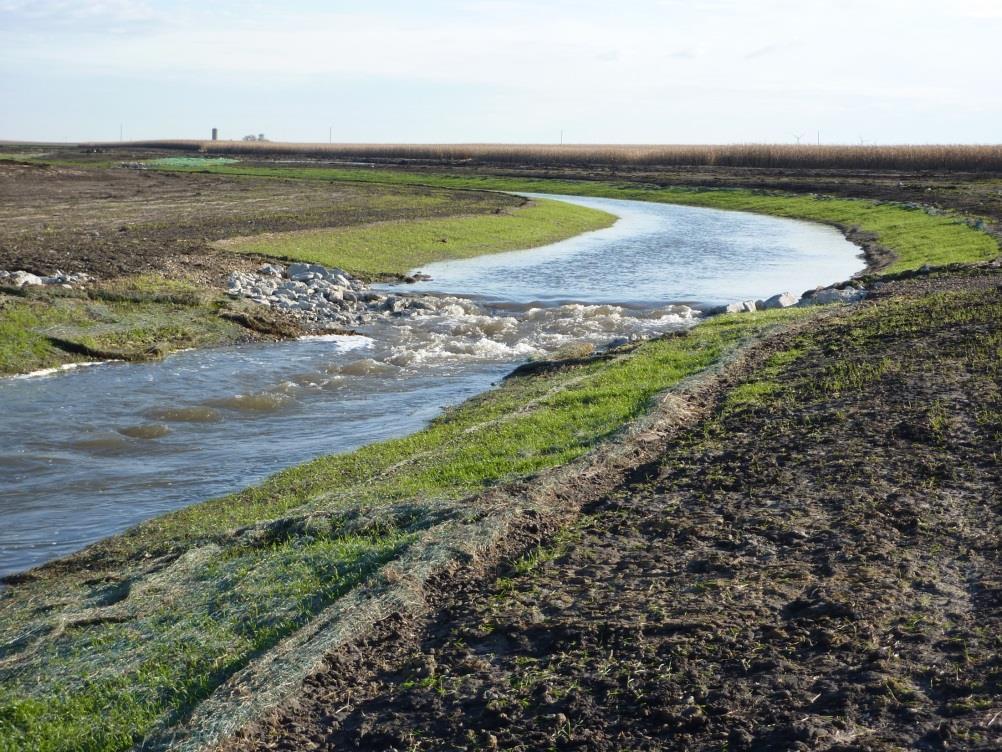 Successful habitat projects in the area Kickapoo Creek (Sangamon River basin) 2 miles of re-meandered stream channel 25 riffles Aquatic vegetation 88 acres of reconnected floodplain 9 wetlands