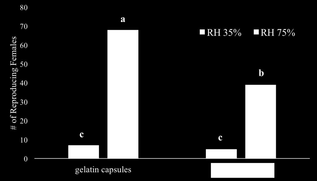 Comparison of the number of reproducing female mites at two