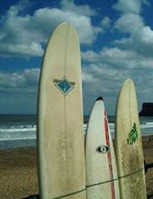 You can also organize an expedition to world-class surfing beaches like Playa Hermosa, Playa Del Rey and Dominical. $75 each person.