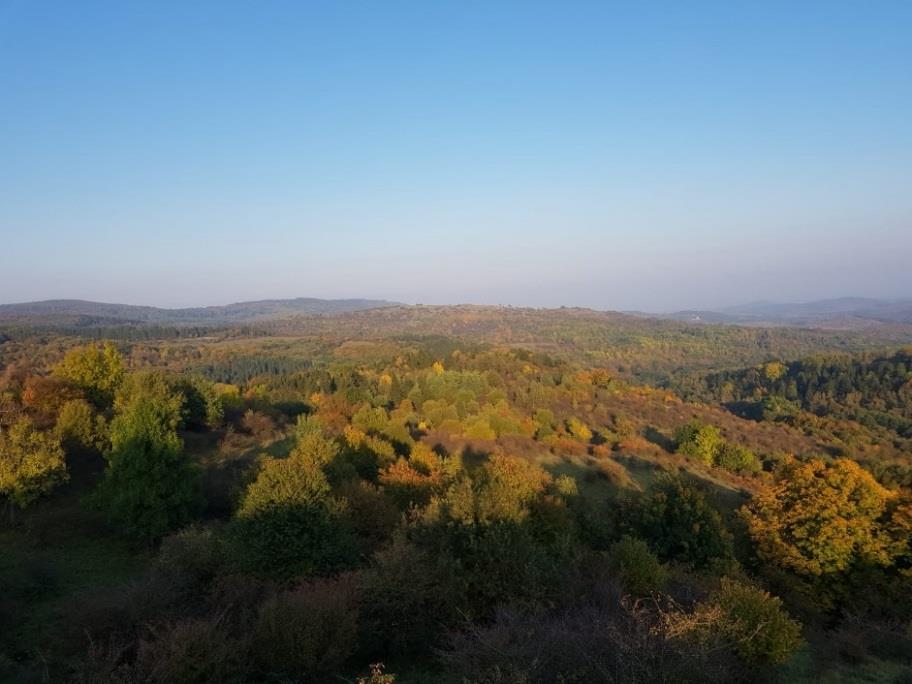 Combo hunting days will occur in Western Czech in an area of around 35 thousands hectares mainly covered by mixed forest and meadows (one the largest hunting district in Europe).