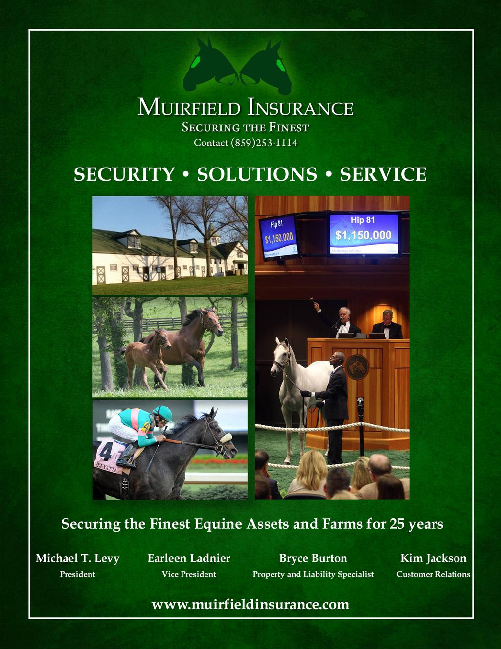 A private purchase falls within the same category, as the private purchase price will determine the sum insured value of the horse.