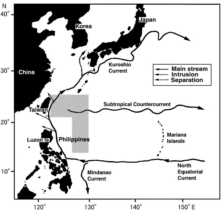 Fig. 1. Sampling area and ocean current system in the western North Pacific. Shadow area indicates sampling area (modified from Minami et al., 2001). processes, e.g. distribution pattern and mechanisms of transport, should be similar (Sekiguchi, 1994).