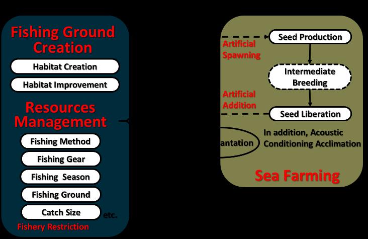 When marine organisms are observed to have extremely decreased until juvenile stage, artificial enhancement of the marine resources is undertaken such as seed production,