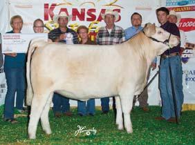 He is the deepest bodied, most powerful young sire we have seen, and his mating to #1128 should be way cool.