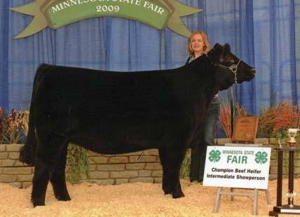 The dam of this ET composite is a powerful Maine female sired by Cowan s Ali and shown by Tara Thorson, Glenville, Minn.
