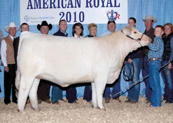 Her dam is the current National Champion Female Sophie, who sold for $50,000 at last year s National Charolais Sale. Her sire is the next calving-ease sire with a -5.5 BW EPD.