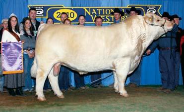 E46 BCR Polled Unlimited 003 Skymont P Unlimited 0115 P-3 Lady Monte 8-5X BCI Miss Verylimit 6033P F764256 BCR Rose Girl 0093 SCR Sir Hi Guy 7121 Miss Thaida 7756 The same premier cow family!