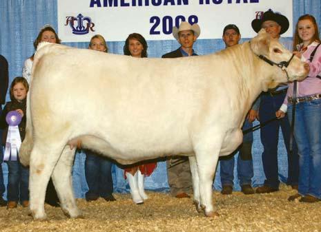 1 WDZ TR Tamara - Dam of Lot 5 Eatons Royal Dynasty - Sire of Lot 5 Chris & Rodney purchased into this donor at the Denver National Charolais Sale to own a part of 0641 s dam.