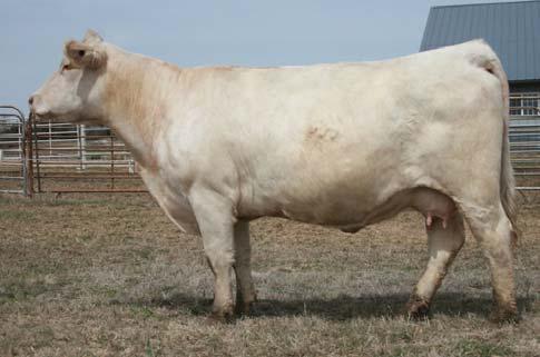 0641 Cow Family - Rapid Fire Embryos ACE Ms Dutchess 0133 Dam of Lot 13 13 Here they are, some of the fi rst embryos sired by Rapid Fire to ever be offered.