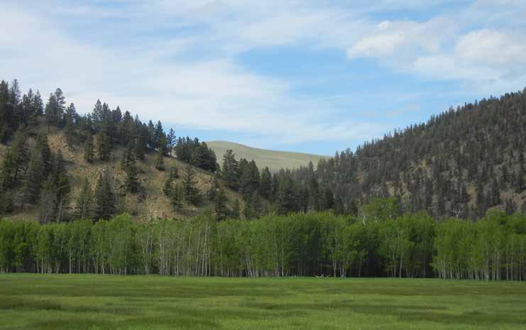 Location: The Prickly Pear Mountain Ranch is located 4 miles east of the small community of Canyon Creek, and approximately 22 miles northwest of Helena, the state capital of Montana.