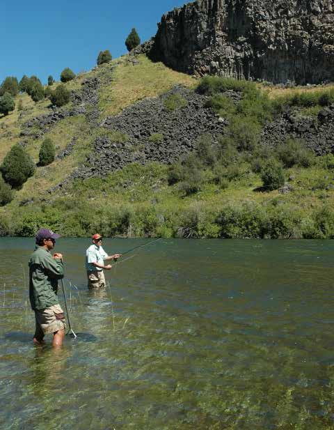 The Madison, Gallatin, and Yellowstone Rivers are known for their dry-fly fishing from blue-winged olives and midges in the spring, the salmon fly hatch in June, mayflies, caddis, hoppers, and