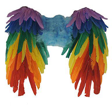 Hat Rainbow Feather Wings