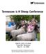Tennessee 4-H Sheep Conference