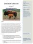 WOOD BISON CURRICULUM Lesson 2 Wood Bison Behavior!