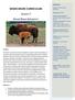 WOOD BISON CURRICULUM Lesson 3 Wood Bison Behavior!