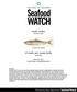 Pacific Sardine Sardinops sagax