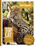TOP CAT. Amur leopards N S I D E LORD S HALF-BROTHER HAS TAKEN OVER HIS TERRITORY - NEWS OF OUR WORK AROUND THE WORLD WILD WORLD NEWS OF OUR