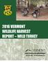 2016 VERMONT WILDLIFE HARVEST REPORT WILD TURKEY